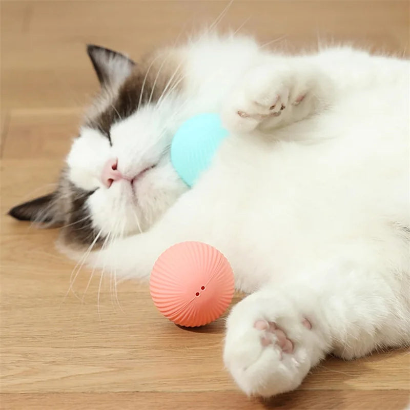 Happy Tumble Toy