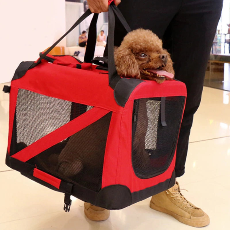 PetCruise Outing Carry Bag