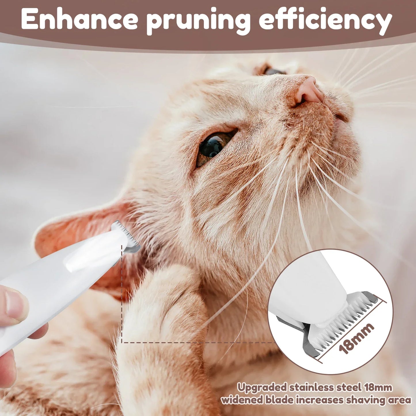Shiny Paw Groomer