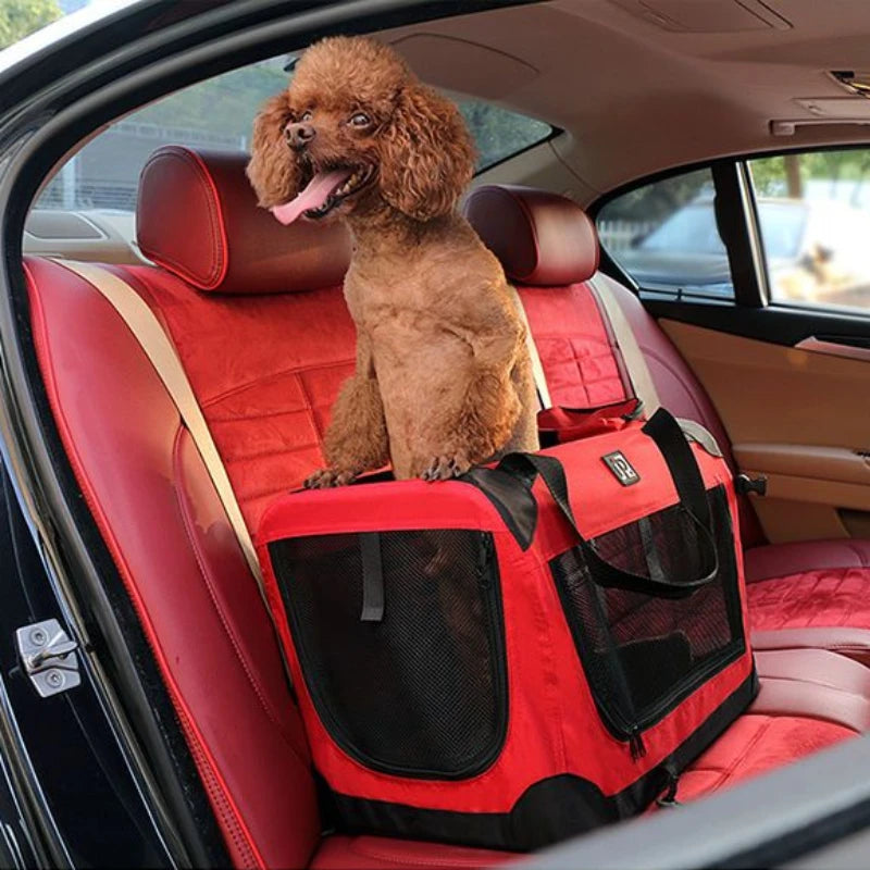 PetCruise Outing Carry Bag