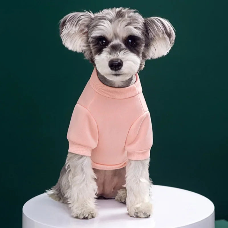 Warm Pup Sweatshirt