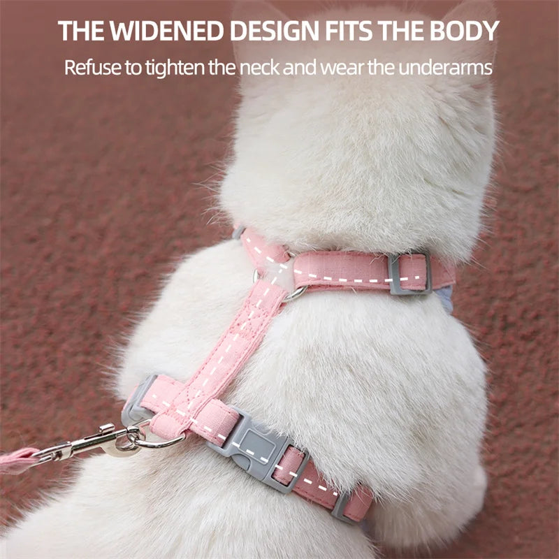 Classic Harness Set