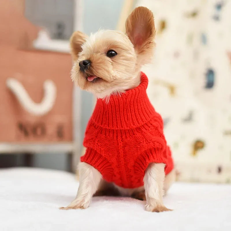 Winter Knit Jacket