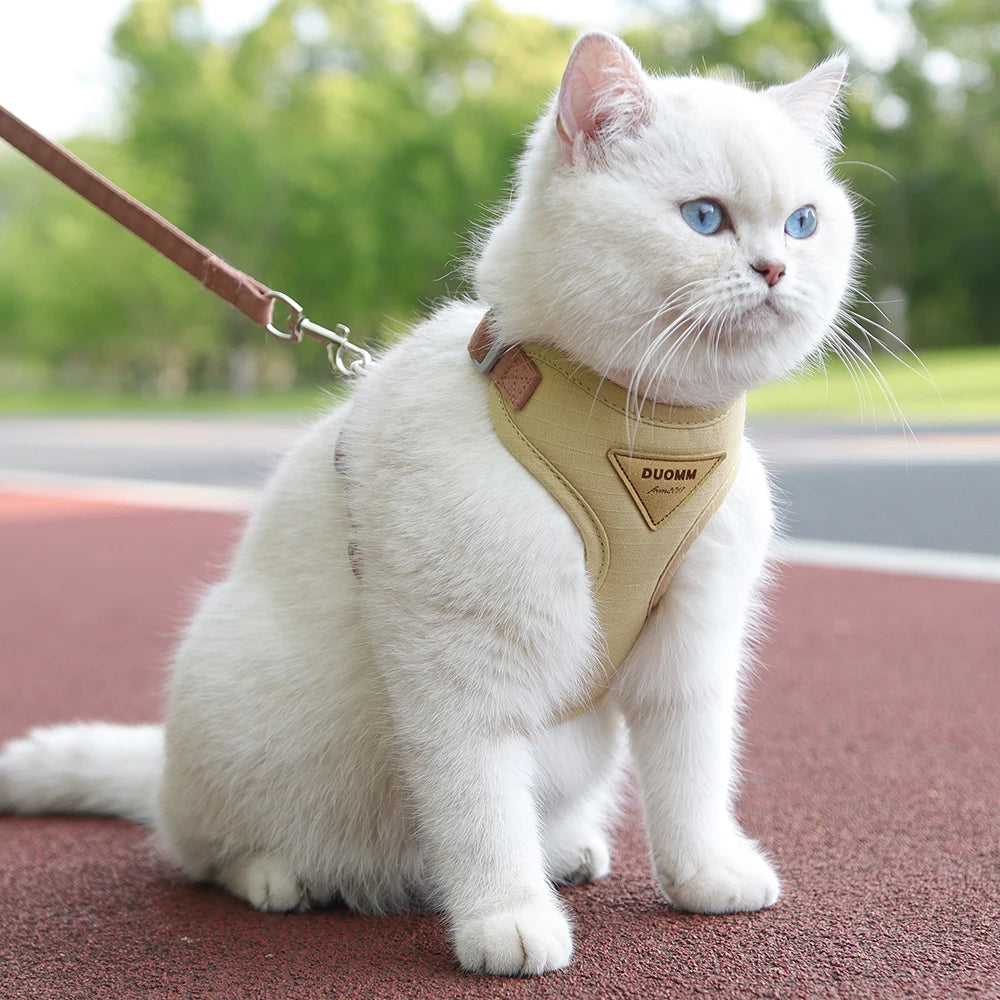 Classic Harness Set