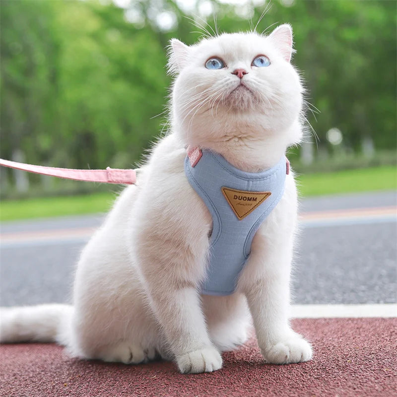 Classic Harness Set