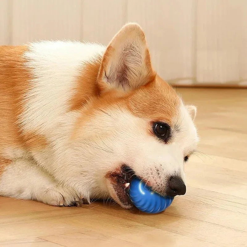 Happy Tumble Toy