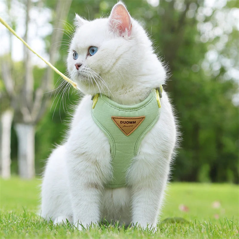 Classic Harness Set