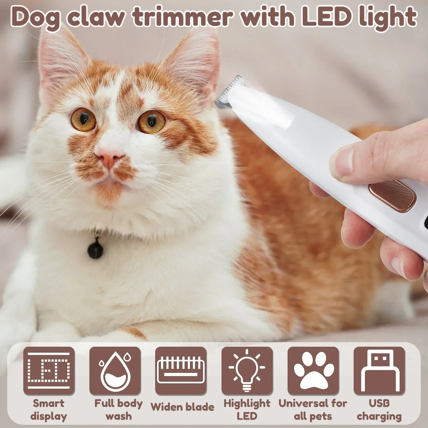 Shiny Paw Groomer