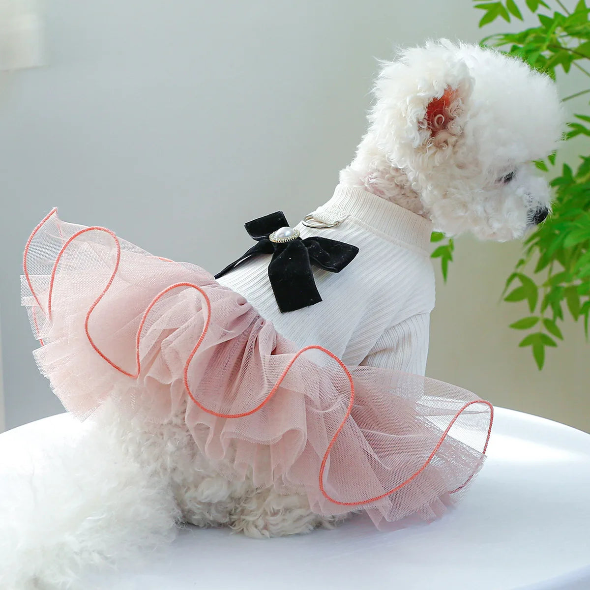 Floral Pet Dress