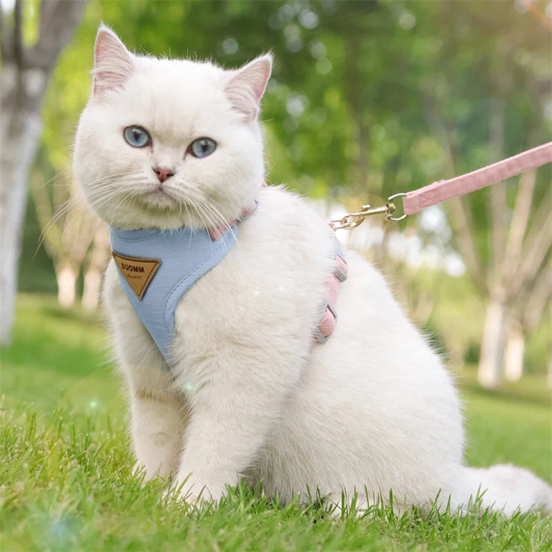 Classic Harness Set