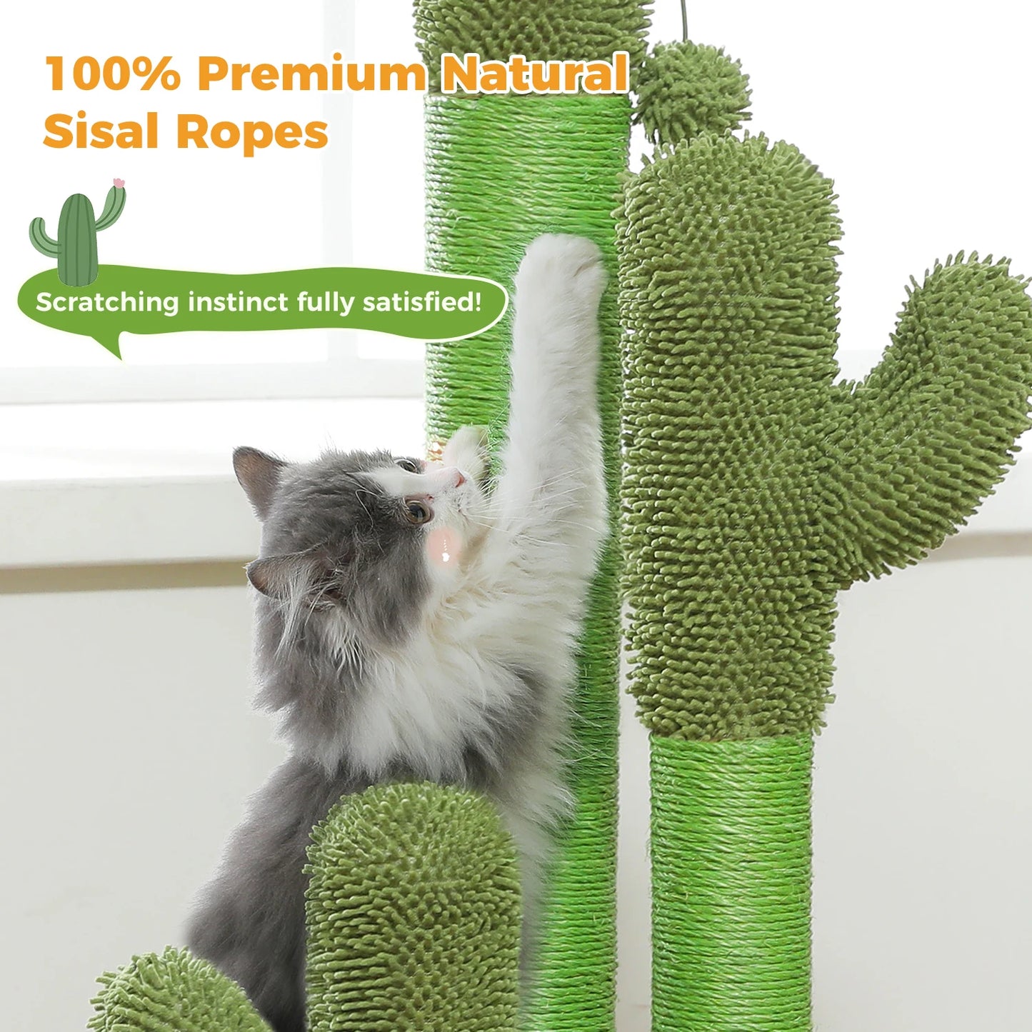 Sierra Cactus Tower