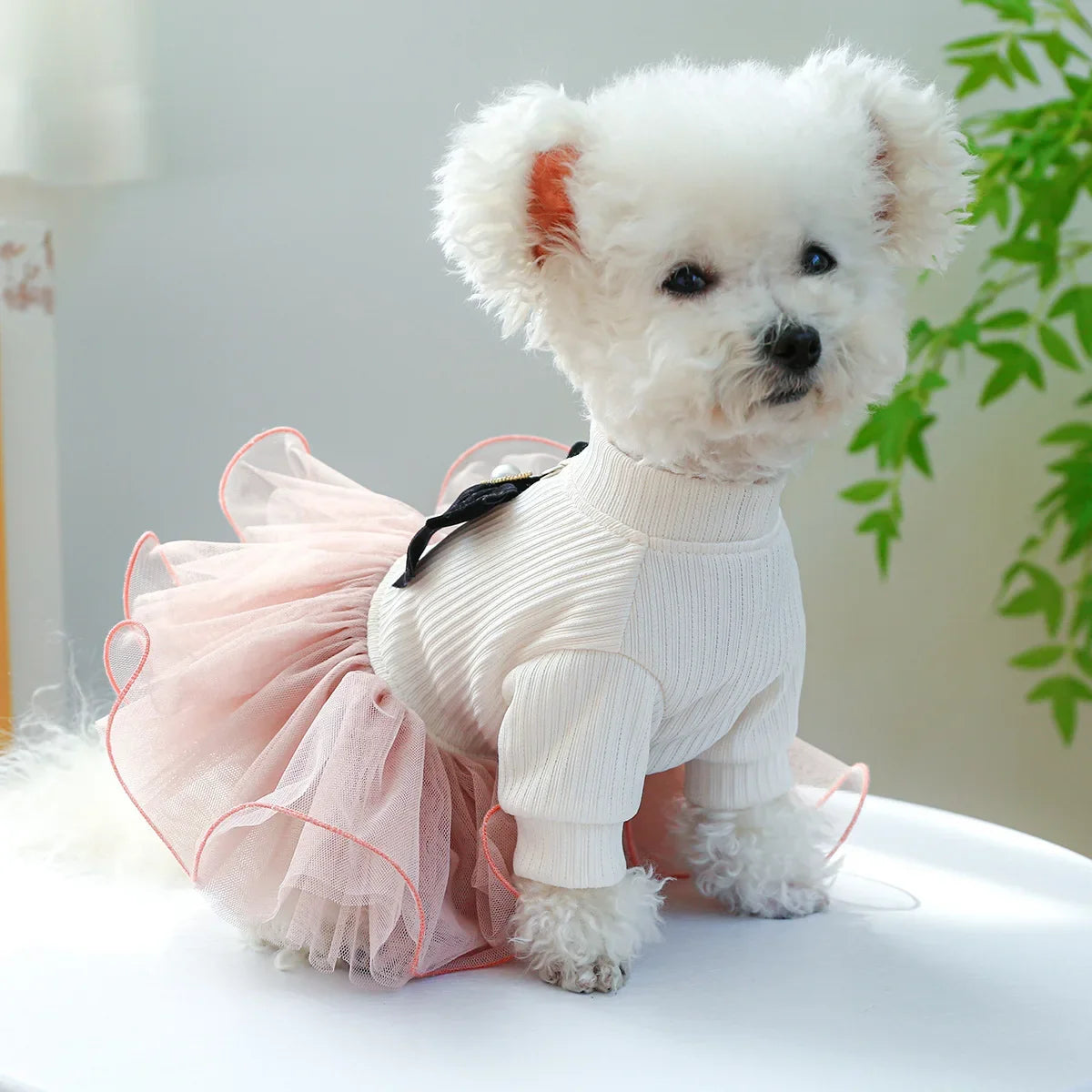 Floral Pet Dress