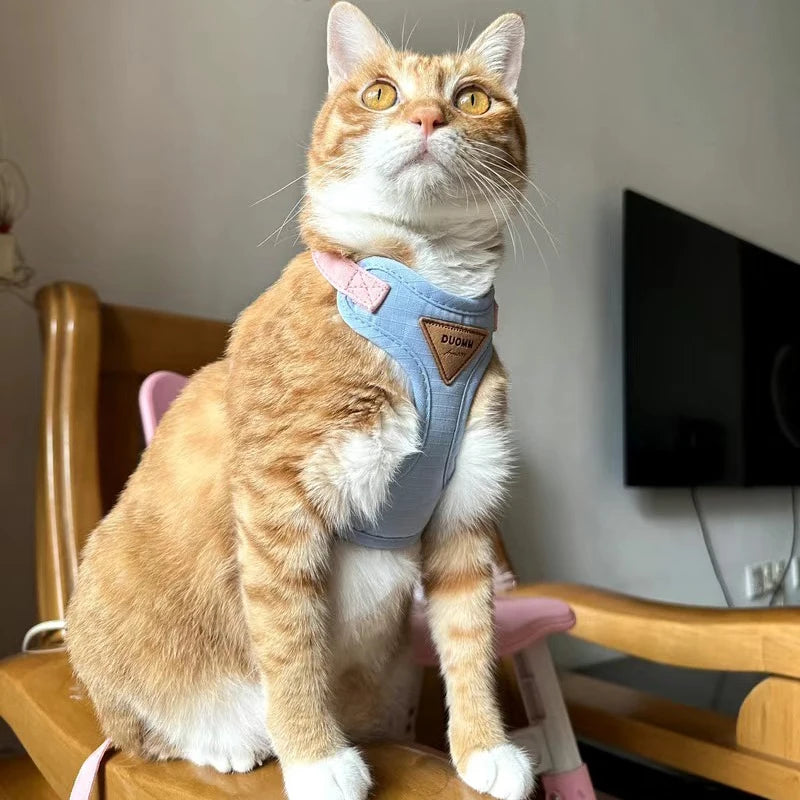 Classic Harness Set