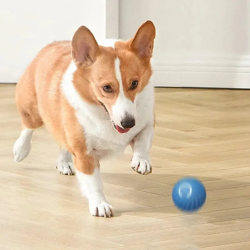 Happy Tumble Toy