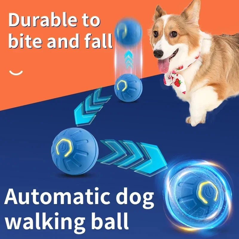 Happy Tumble Toy