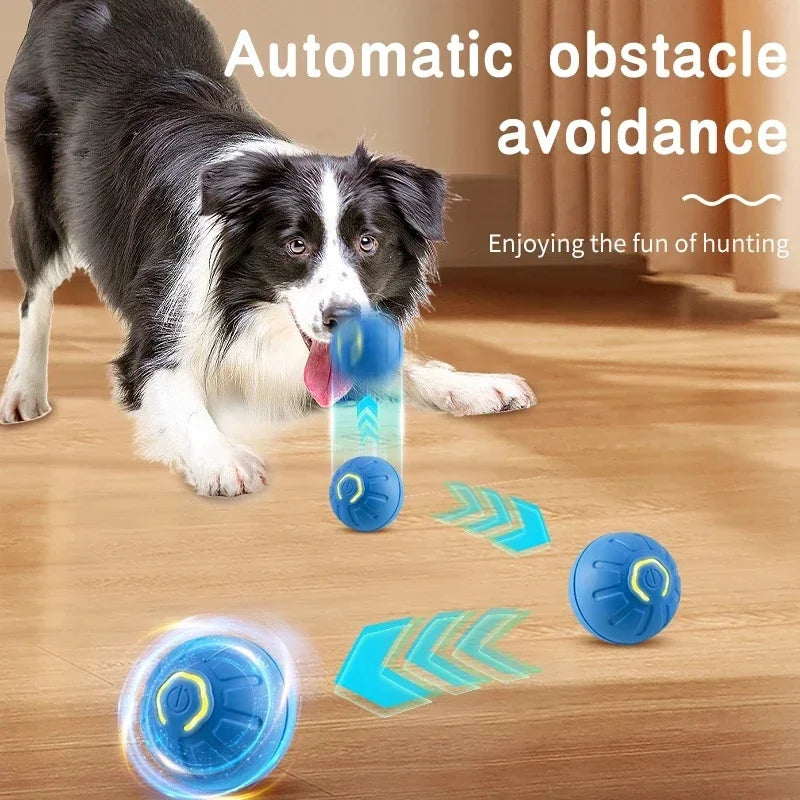 Happy Tumble Toy
