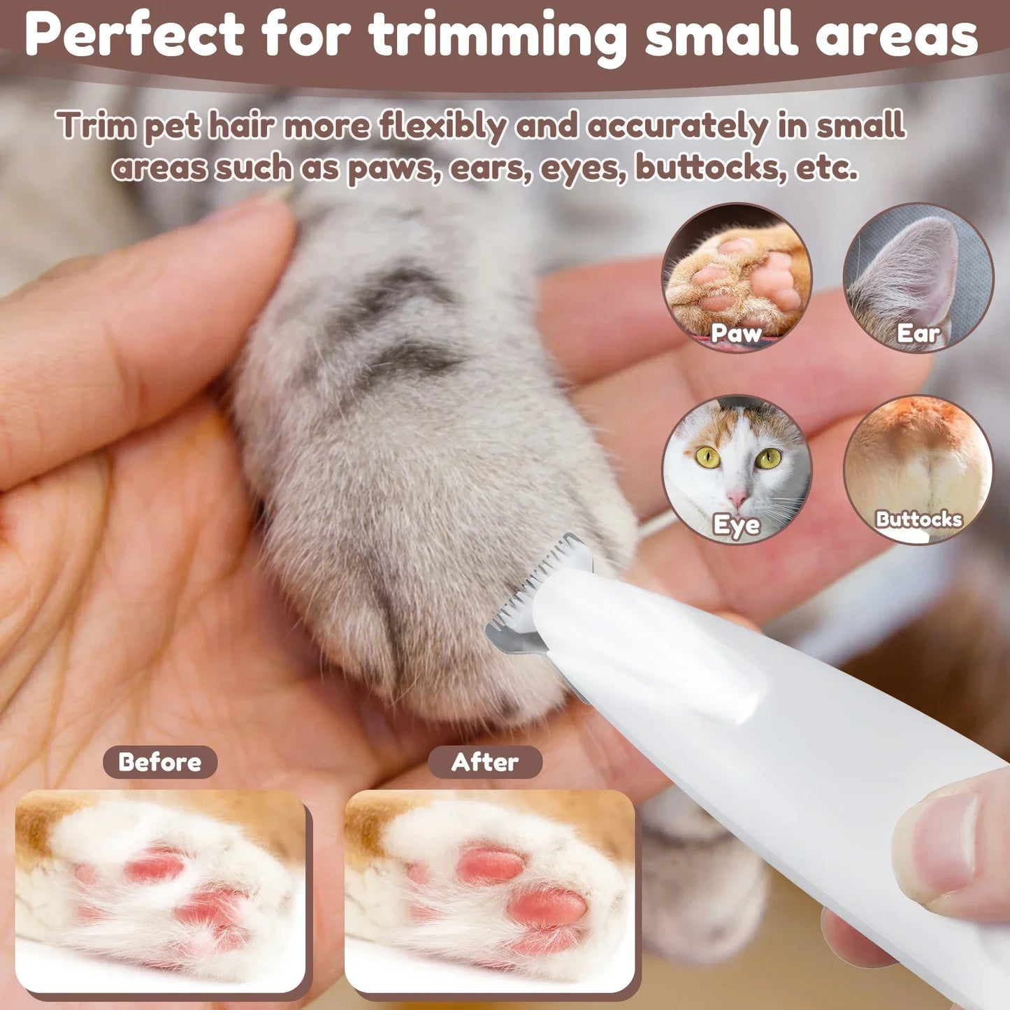 Shiny Paw Groomer