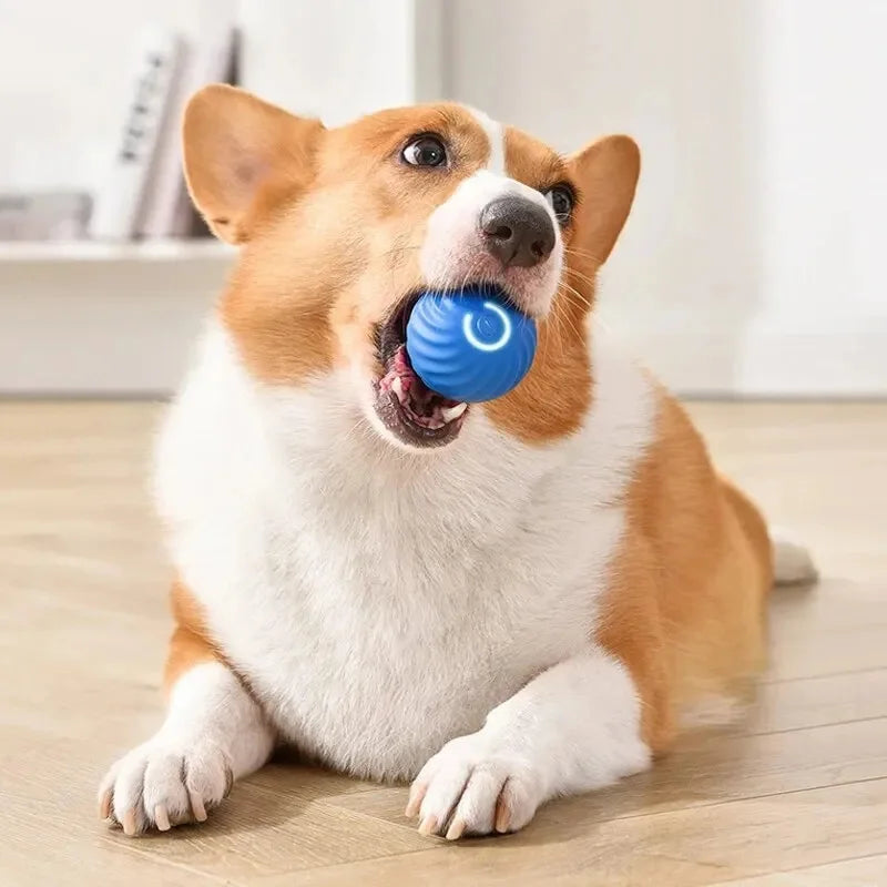 Happy Tumble Toy