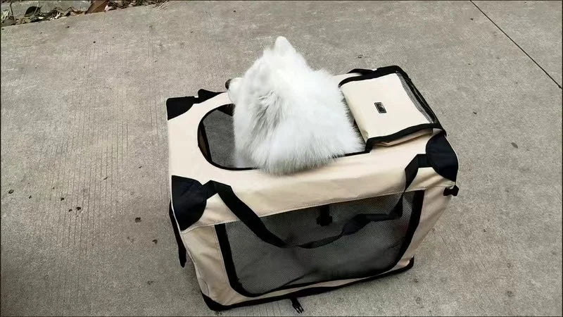 PetCruise Outing Carry Bag