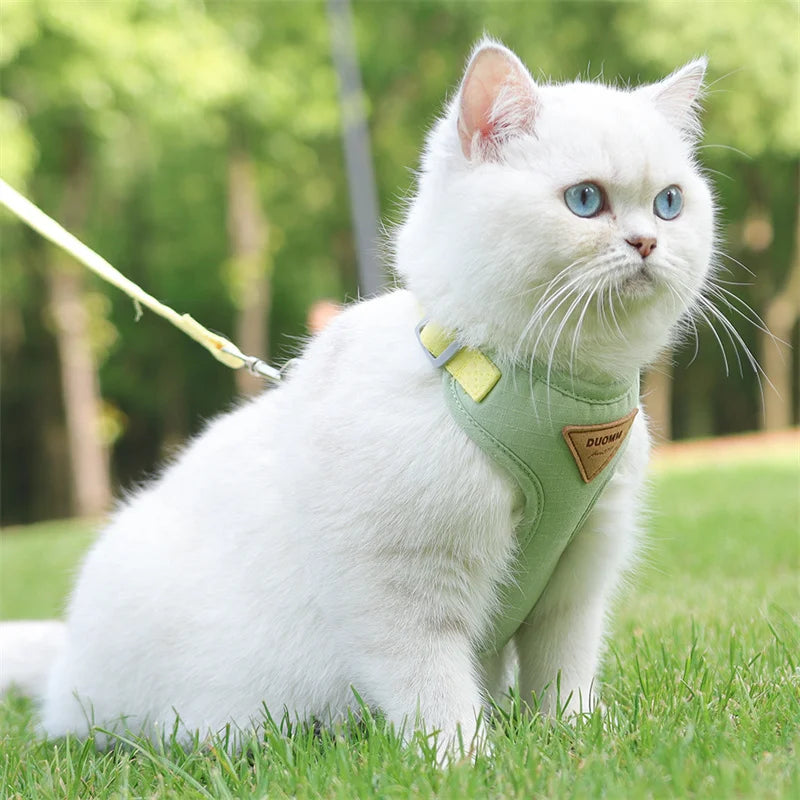 Classic Harness Set