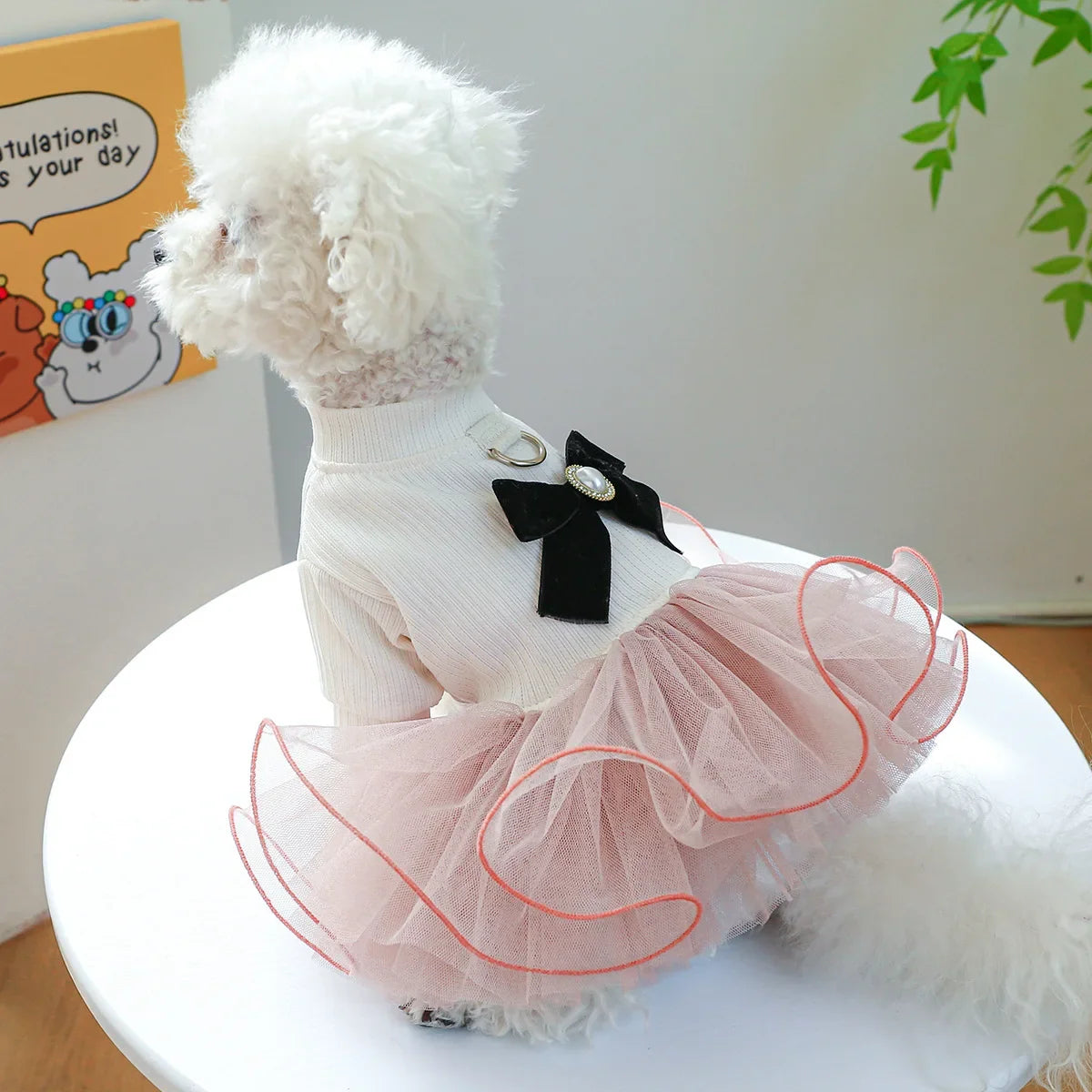 Floral Pet Dress