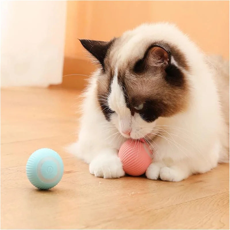 Happy Tumble Toy