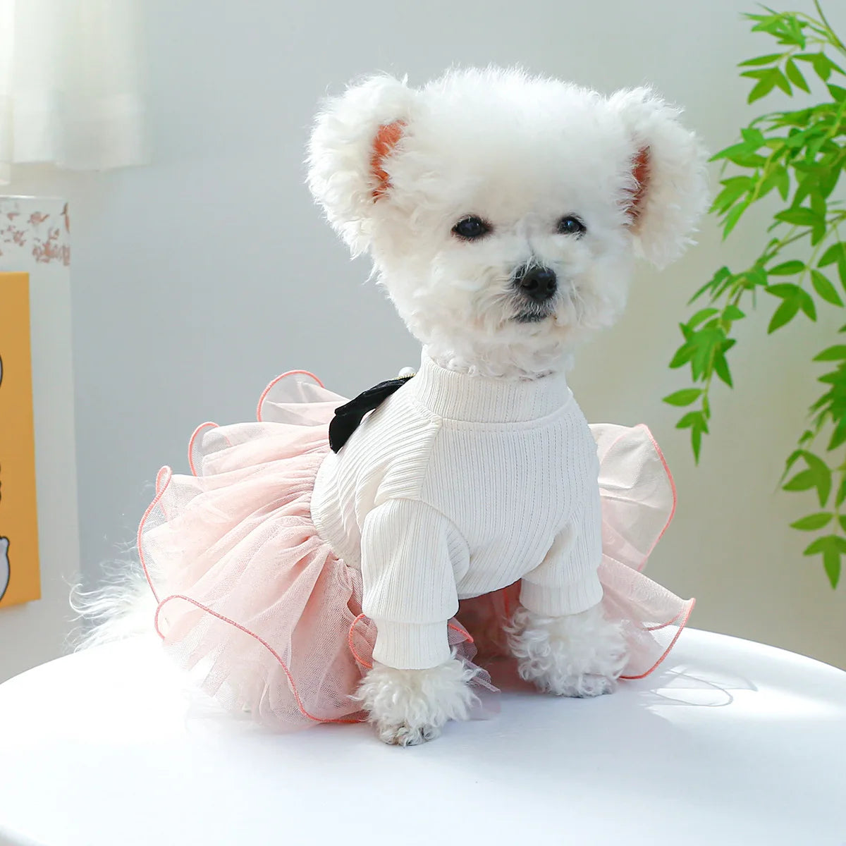 Floral Pet Dress