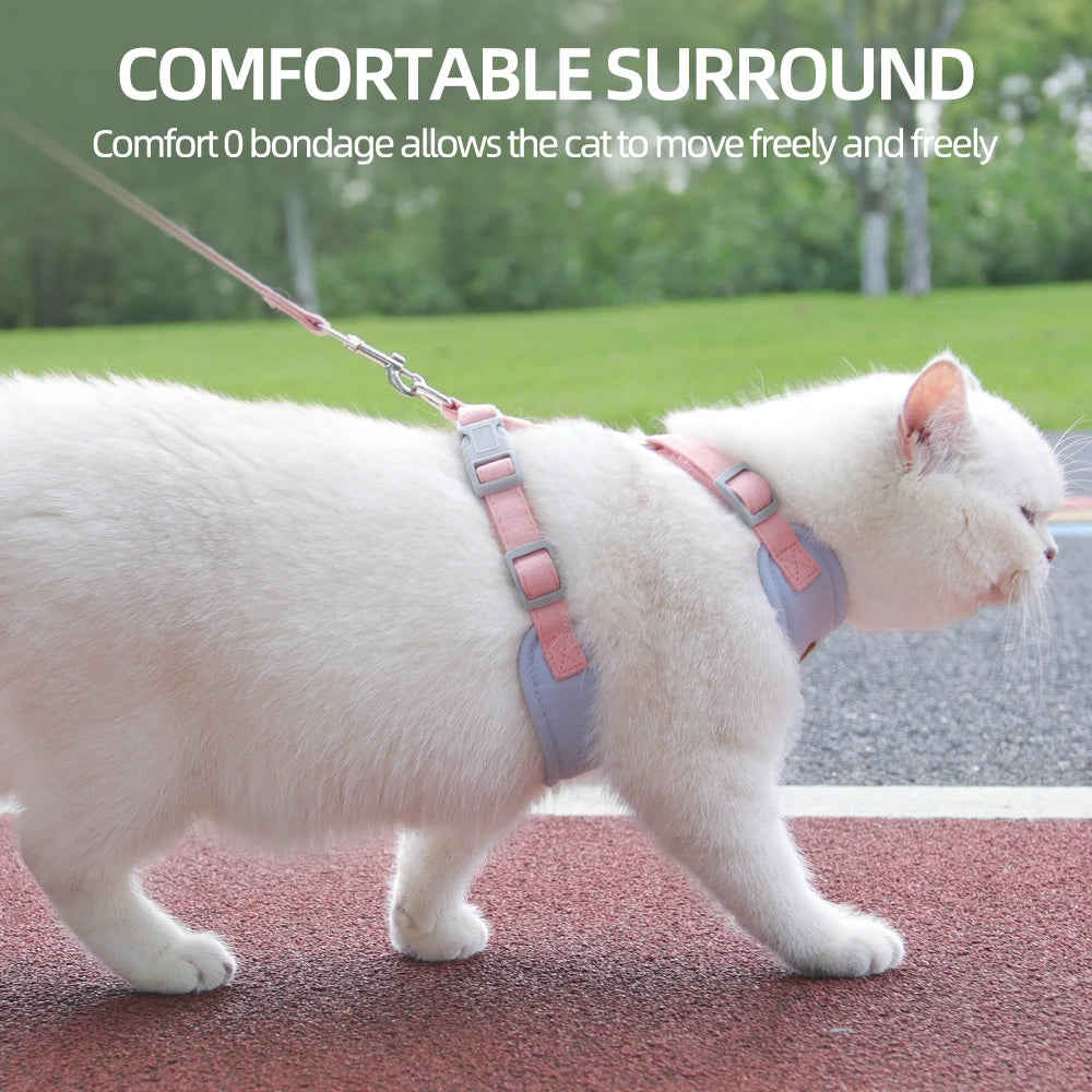 Classic Harness Set