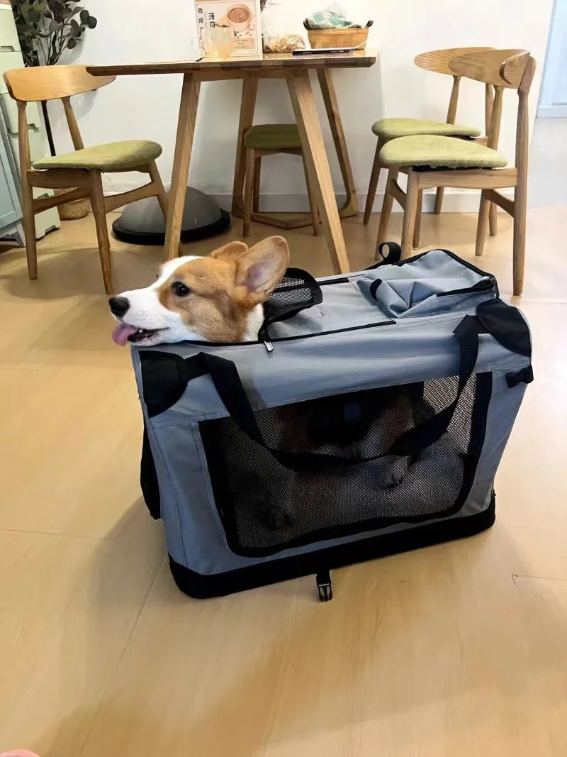 PetCruise Outing Carry Bag