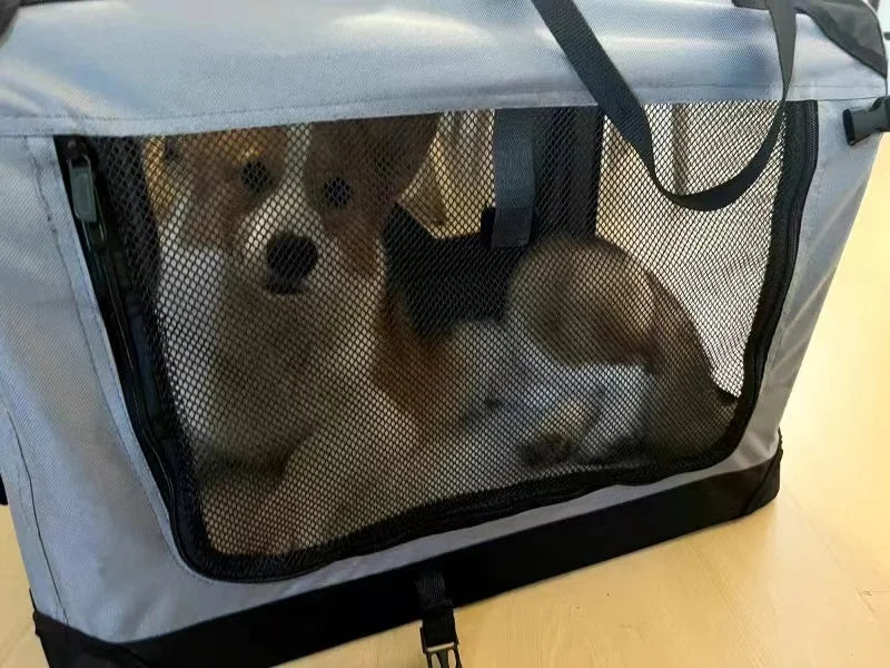 PetCruise Outing Carry Bag