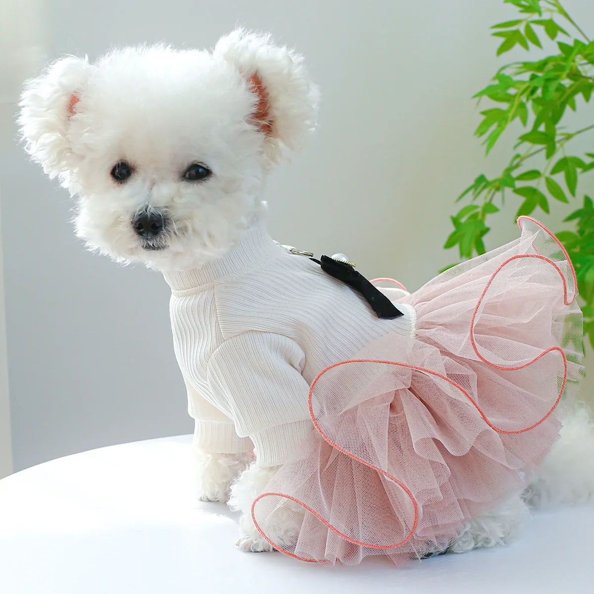 Floral Pet Dress