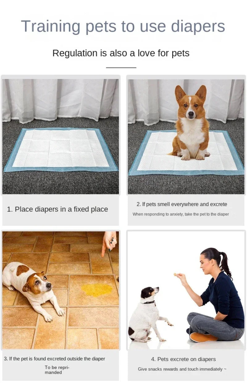 Pet Diaper Dog Training Pee Pads
