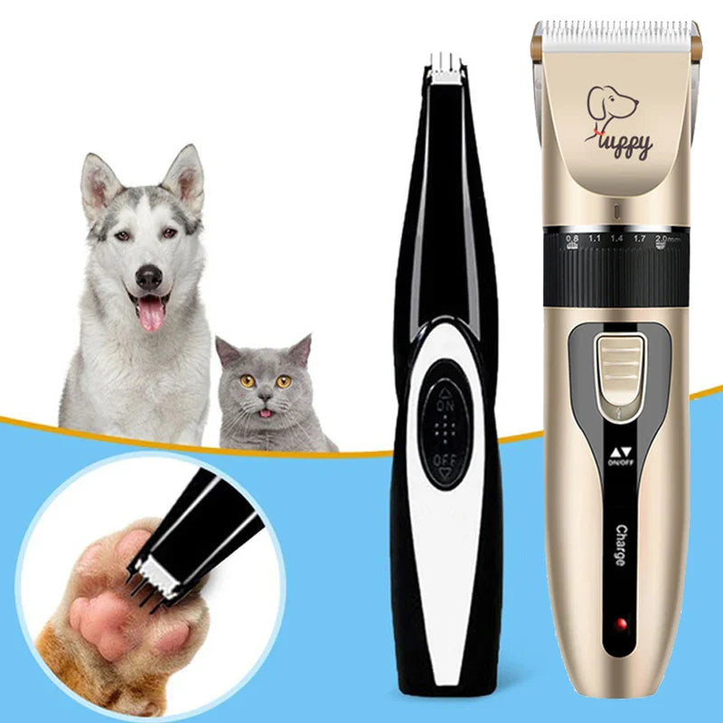 Pet Care & Grooming