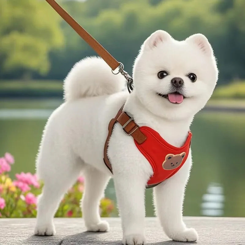 Harness & Travel