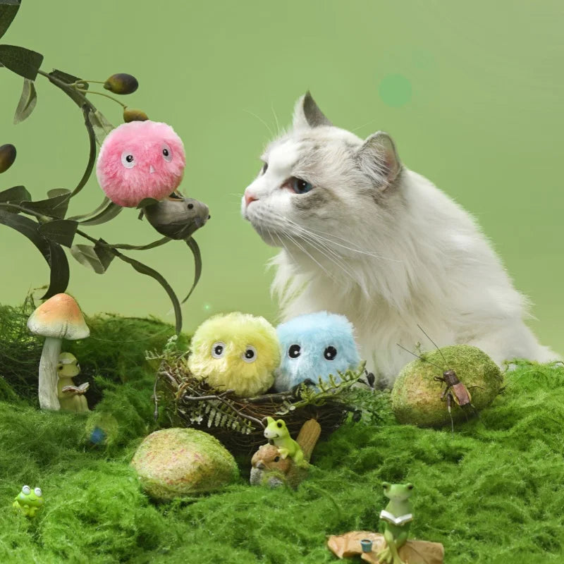 Pet Toys