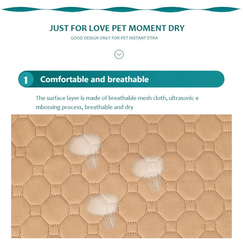 Pawfect Pee Pad