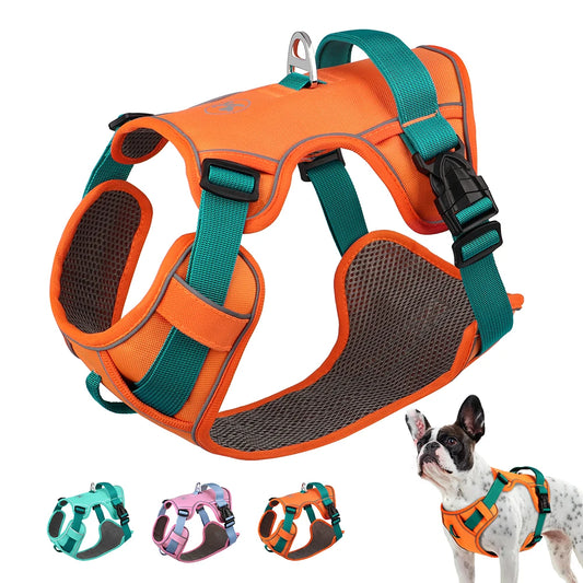 AeroFit Harness