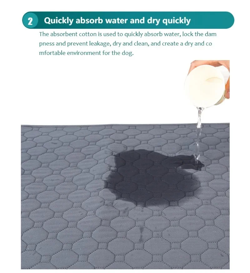 Pawfect Pee Pad