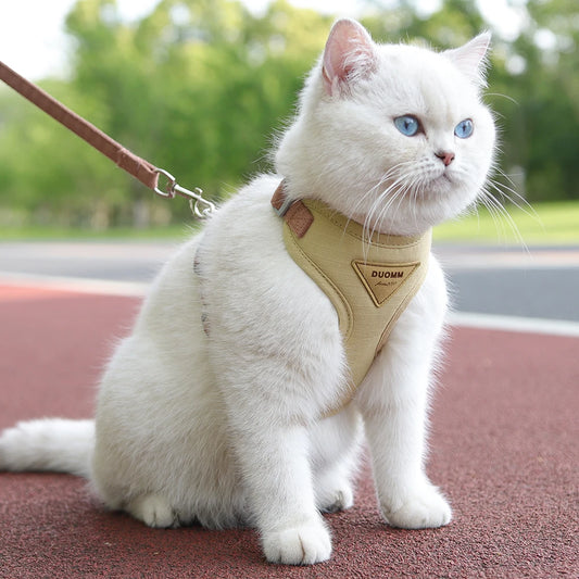 Classic Harness Set