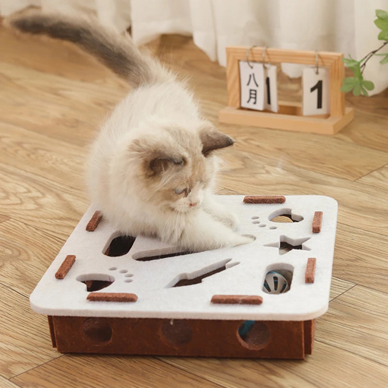 Smart Cat Puzzle