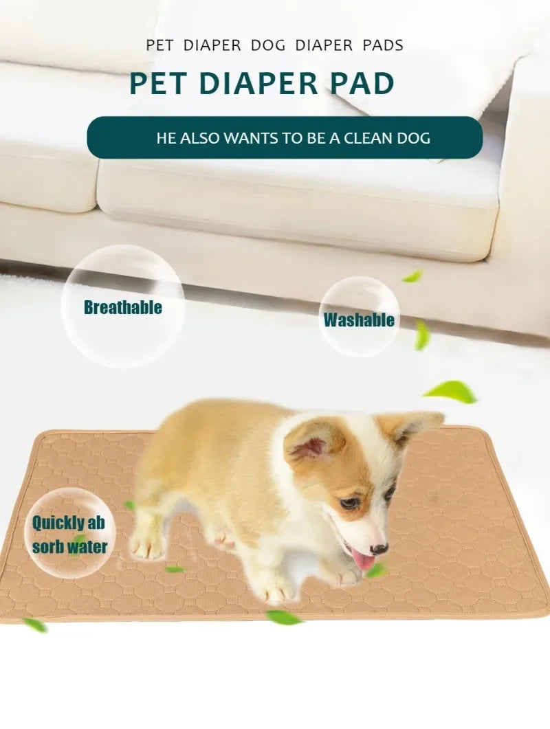 Pawfect Pee Pad