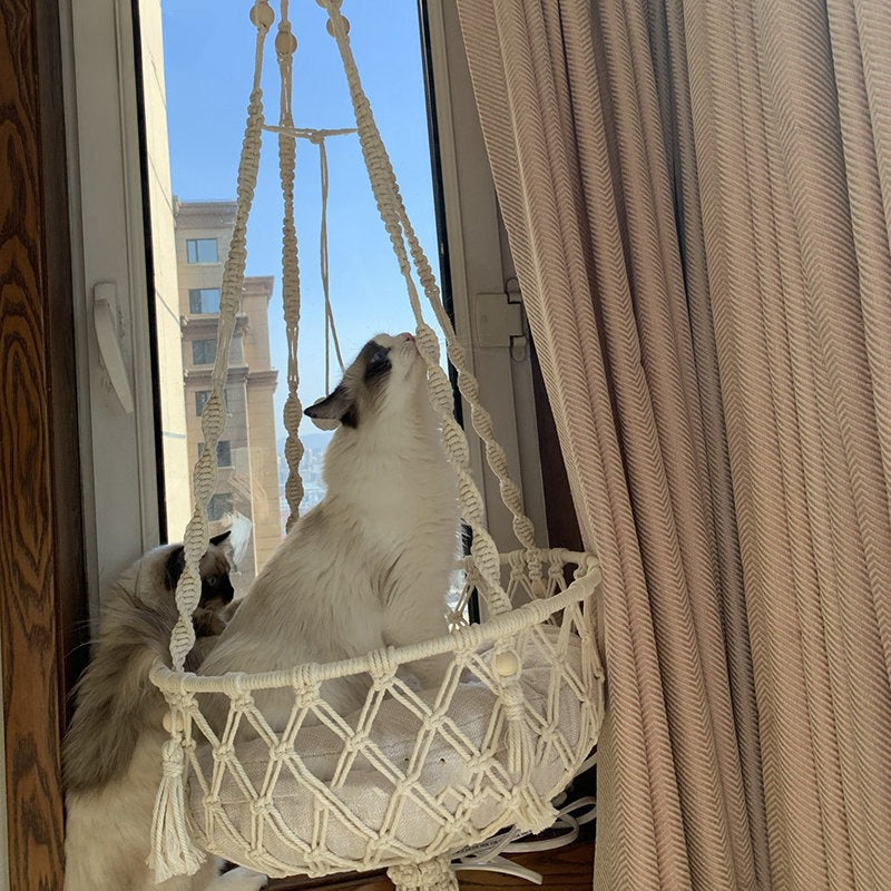 Haven Hammock