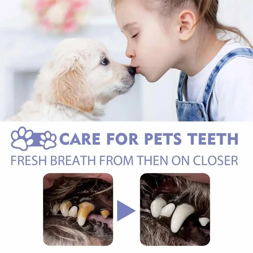 PureBreath Freshener