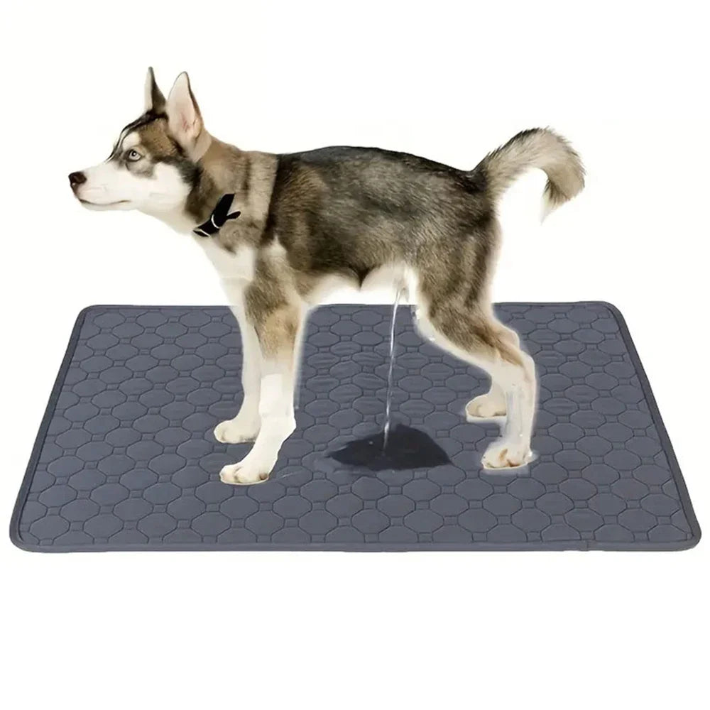 Pawfect Pee Pad