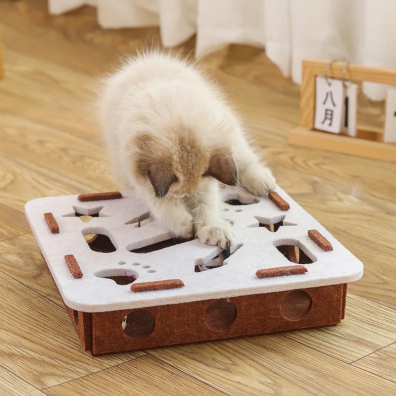 Smart Cat Puzzle