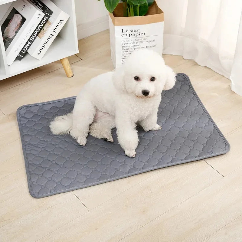 Pawfect Pee Pad