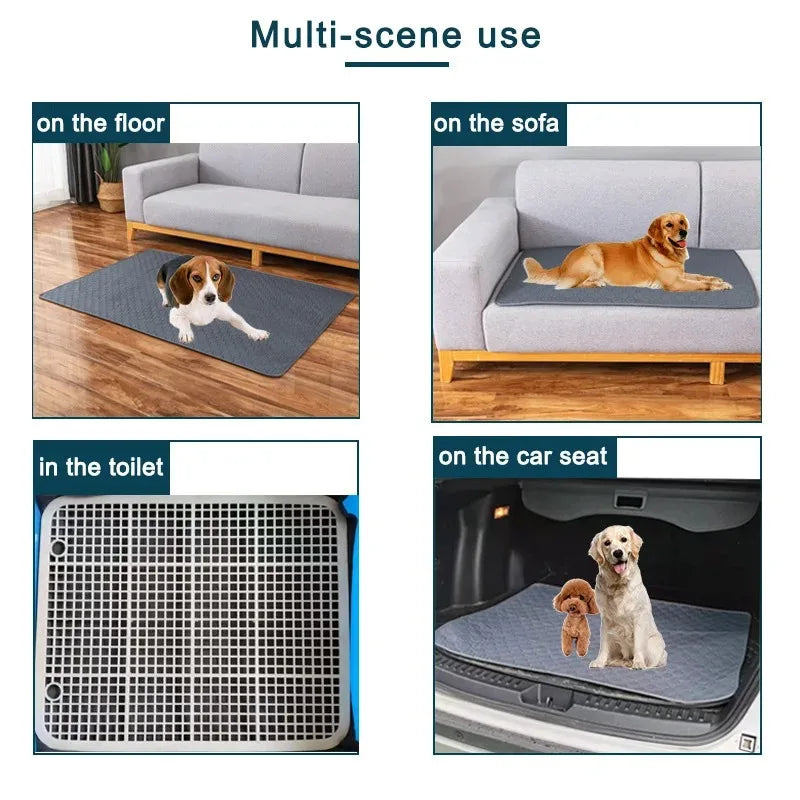 Pawfect Pee Pad