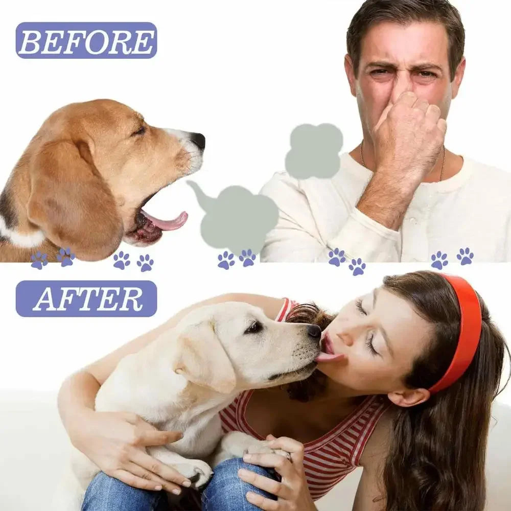 PureBreath Freshener