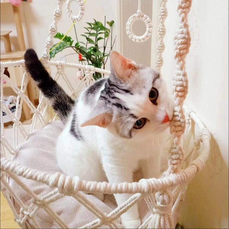 Haven Hammock