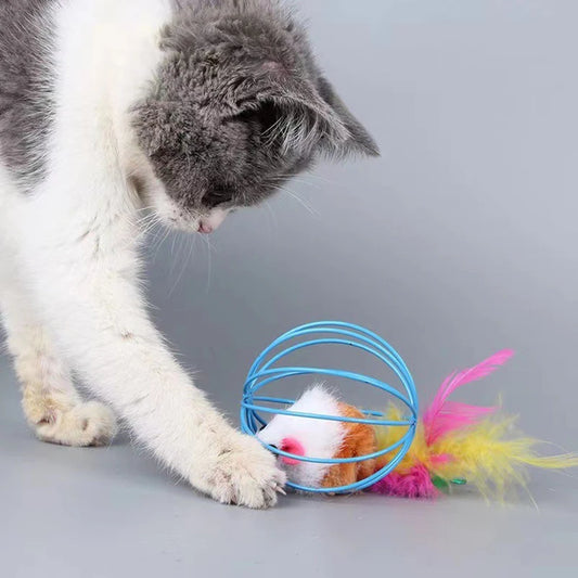 Cat Chase Plush